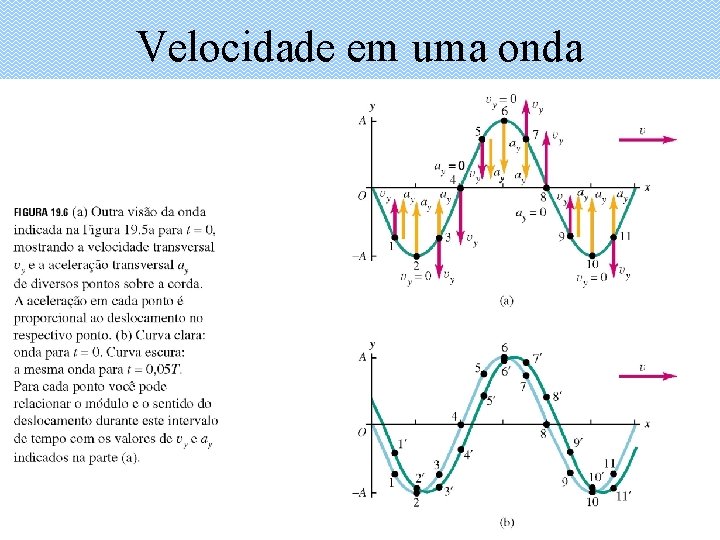 Velocidade em uma onda 