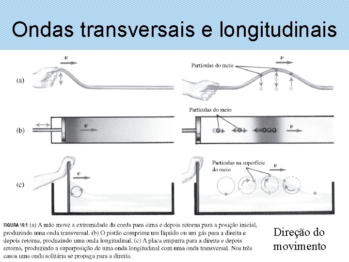 Ondas transversais e longitudinais Direção do movimento 