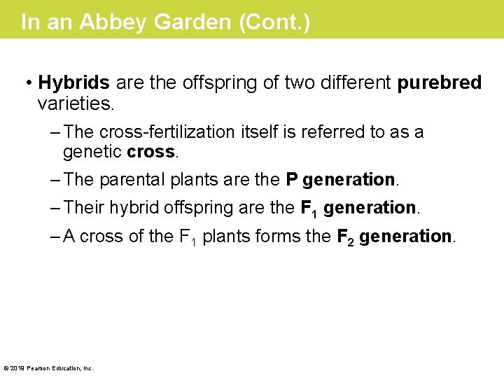 In an Abbey Garden (Cont. ) • Hybrids are the offspring of two different