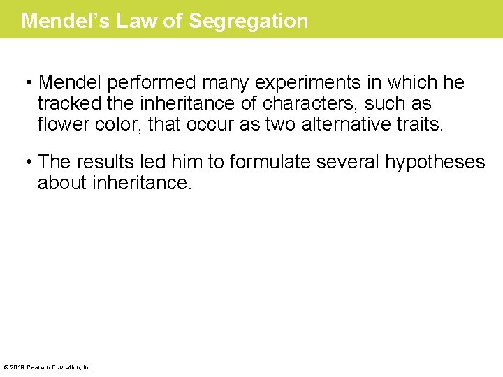 Mendel’s Law of Segregation • Mendel performed many experiments in which he tracked the