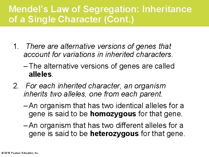 Mendel’s Law of Segregation: Inheritance of a Single Character (Cont. ) 1. There alternative
