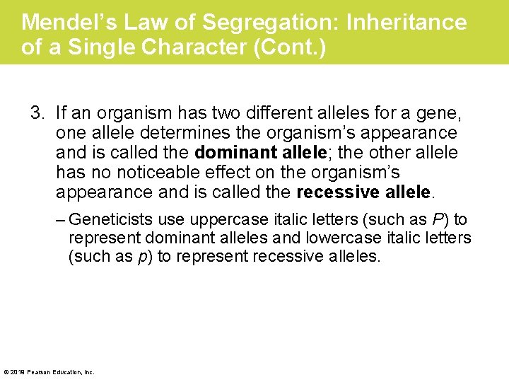 Mendel’s Law of Segregation: Inheritance of a Single Character (Cont. ) 3. If an