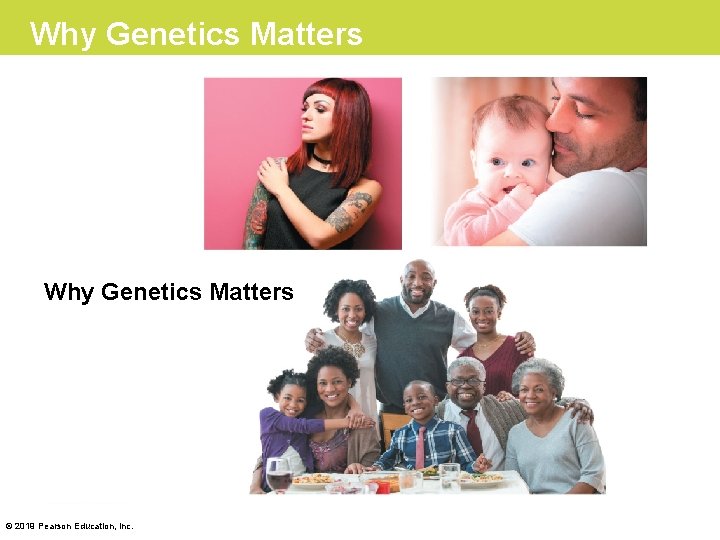 Why Genetics Matters © 2019 Pearson Education, Inc. 