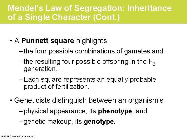 Mendel’s Law of Segregation: Inheritance of a Single Character (Cont. ) • A Punnett