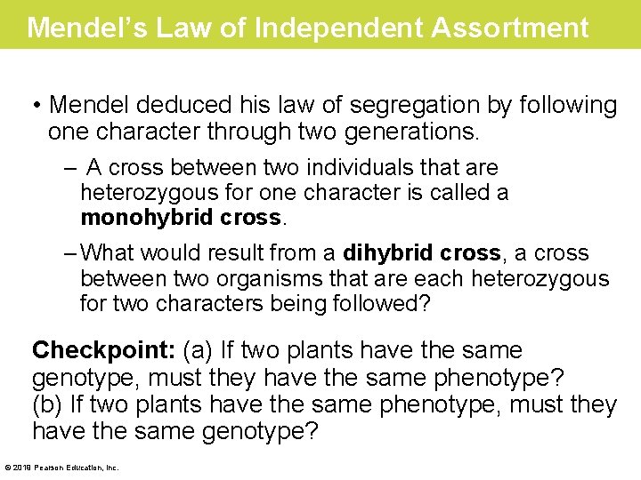 Mendel’s Law of Independent Assortment • Mendel deduced his law of segregation by following
