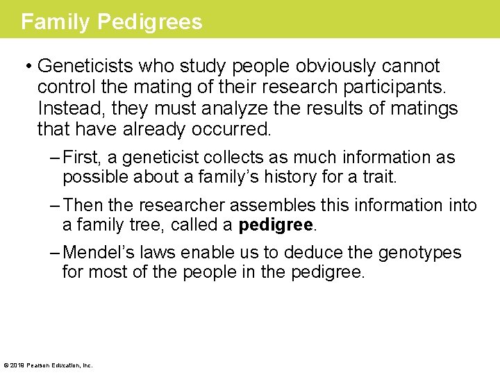 Family Pedigrees • Geneticists who study people obviously cannot control the mating of their