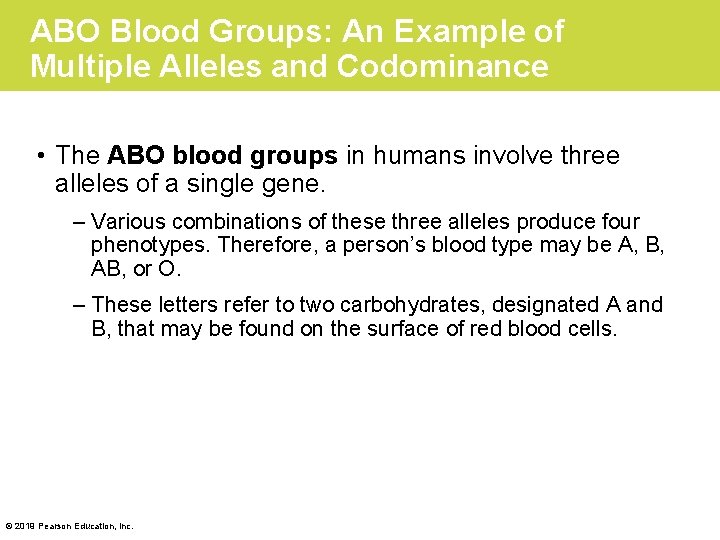 ABO Blood Groups: An Example of Multiple Alleles and Codominance • The ABO blood