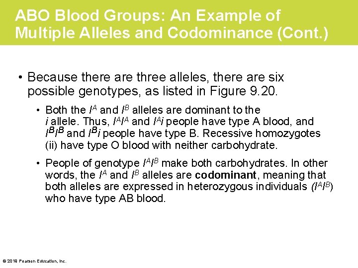 ABO Blood Groups: An Example of Multiple Alleles and Codominance (Cont. ) • Because
