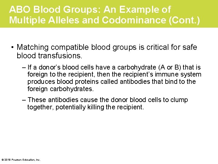ABO Blood Groups: An Example of Multiple Alleles and Codominance (Cont. ) • Matching