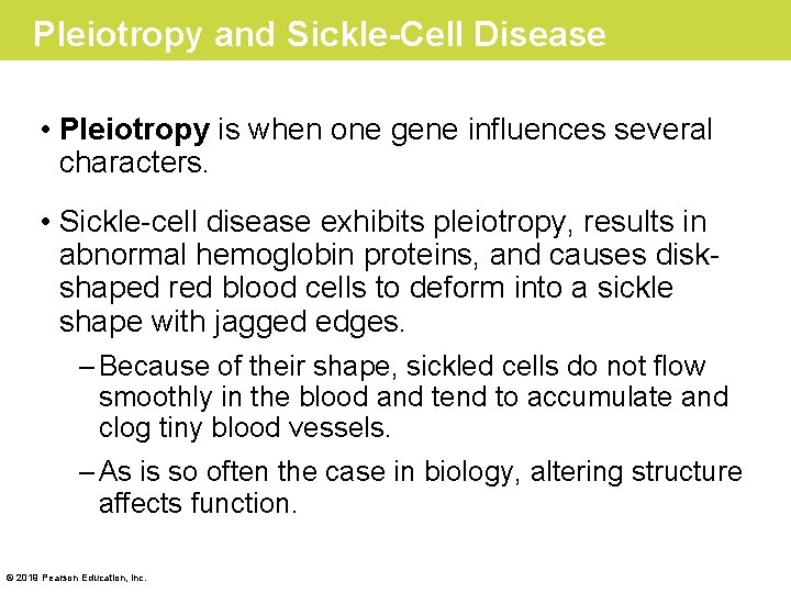 Pleiotropy and Sickle-Cell Disease • Pleiotropy is when one gene influences several characters. •