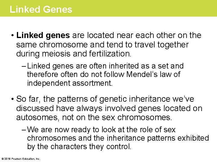Linked Genes • Linked genes are located near each other on the same chromosome