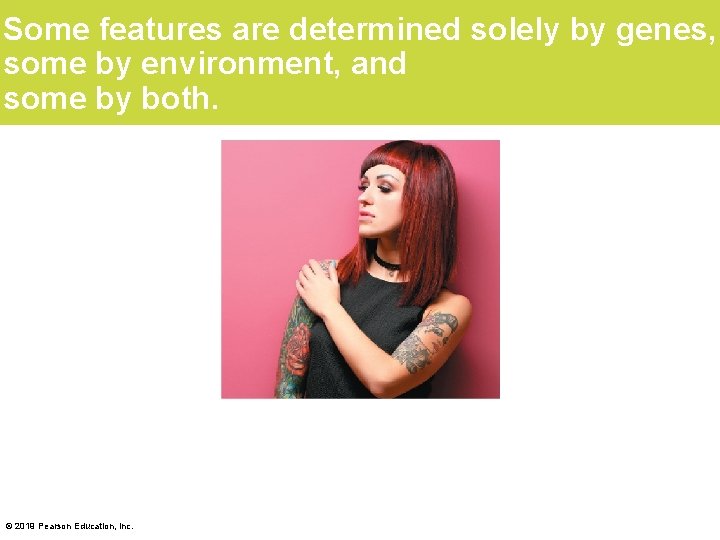 Some features are determined solely by genes, some by environment, and some by both.