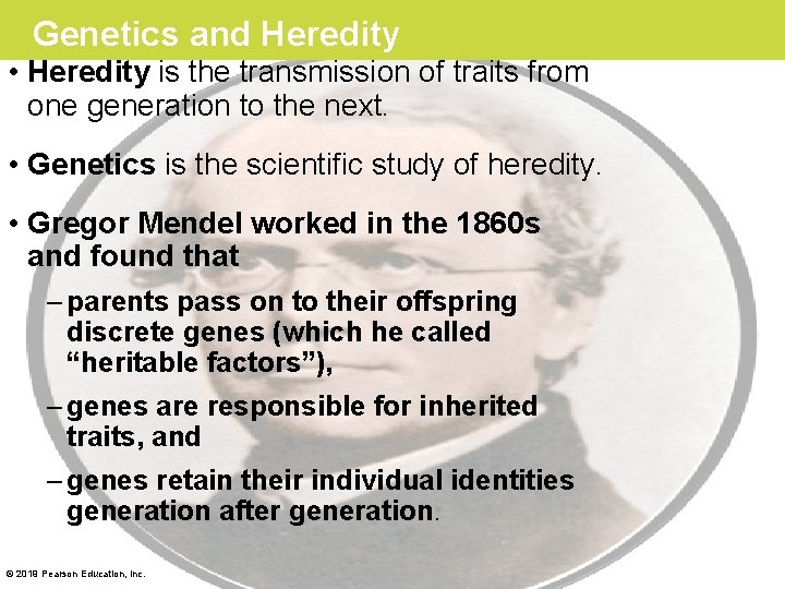 Genetics and Heredity • Heredity is the transmission of traits from one generation to