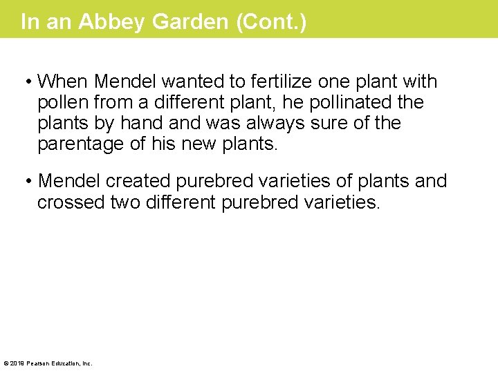 In an Abbey Garden (Cont. ) • When Mendel wanted to fertilize one plant