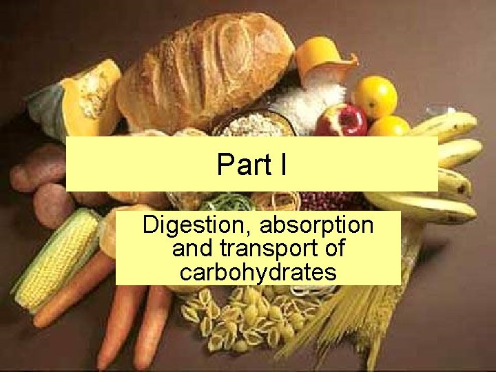 Part I Digestion, absorption and transport of carbohydrates 