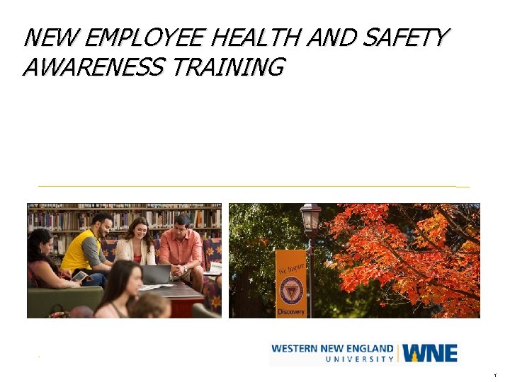 NEW EMPLOYEE HEALTH AND SAFETY AWARENESS TRAINING 1 