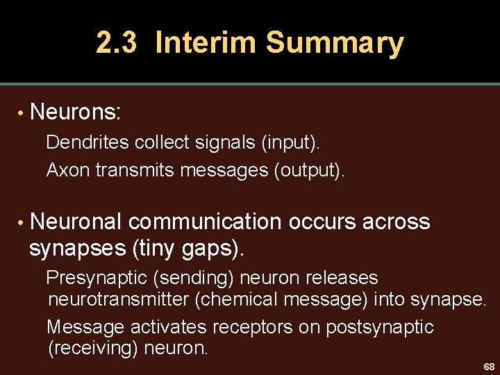 2. 3 Interim Summary • Neurons: Dendrites collect signals (input). Axon transmits messages (output). 2. 3 Interim Summary • Neurons: Dendrites collect signals (input). Axon transmits messages (output).