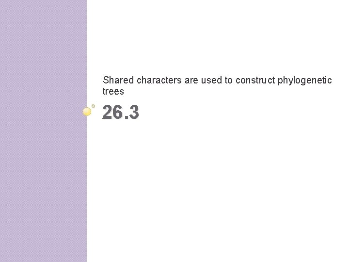 Shared characters are used to construct phylogenetic trees 26. 3 