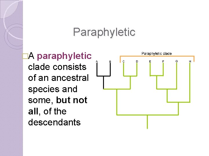 Paraphyletic �A paraphyletic clade consists of an ancestral species and some, but not all,