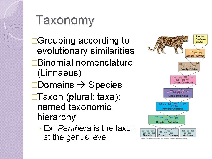 Taxonomy �Grouping according to evolutionary similarities �Binomial nomenclature (Linnaeus) �Domains Species �Taxon (plural: taxa):