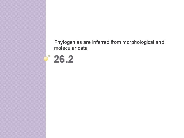 Phylogenies are inferred from morphological and molecular data 26. 2 