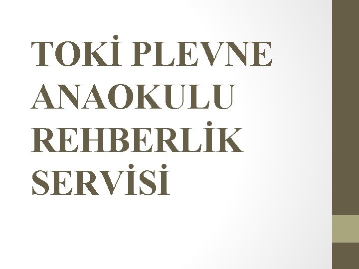 TOKİ PLEVNE ANAOKULU REHBERLİK SERVİSİ 