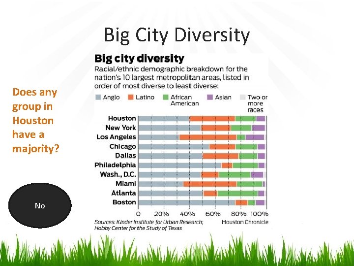 Big City Diversity Does any group in Houston have a majority? No 