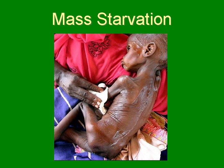 Mass Starvation 
