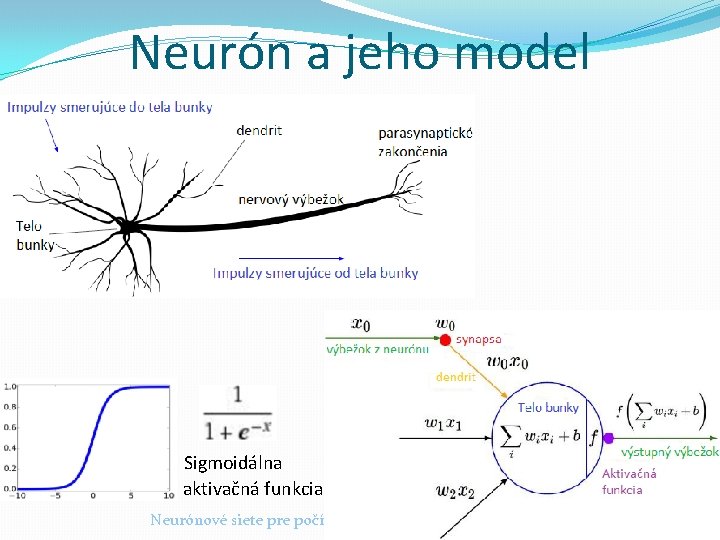 Neurón a jeho model Sigmoidálna aktivačná funkcia Neurónové siete pre počítačové videnie 2019 -20