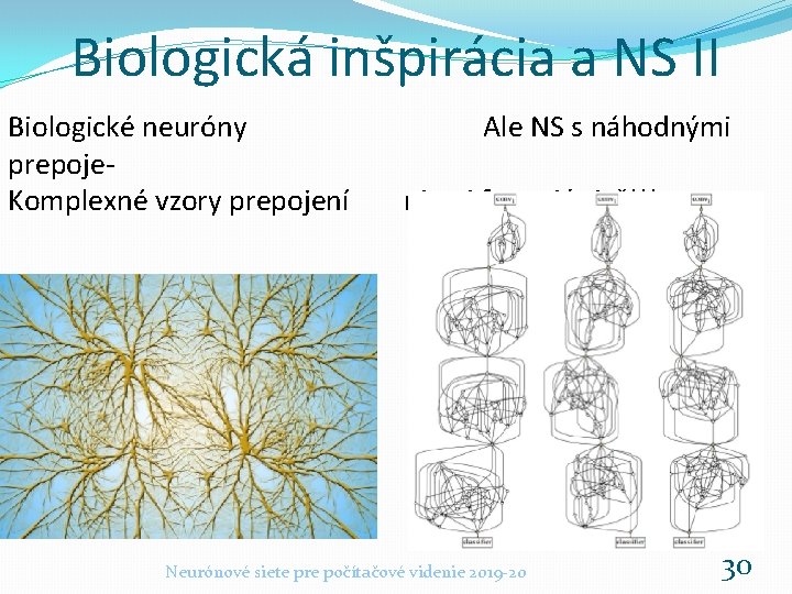 Biologická inšpirácia a NS II Biologické neuróny prepoje. Komplexné vzory prepojení Ale NS s