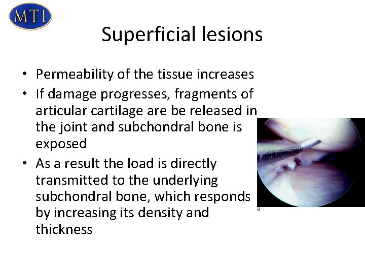 Superficial lesions • Permeability of the tissue increases • If damage progresses, fragments of