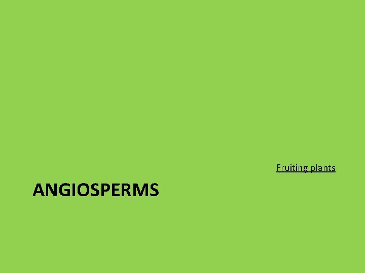 Fruiting plants ANGIOSPERMS 