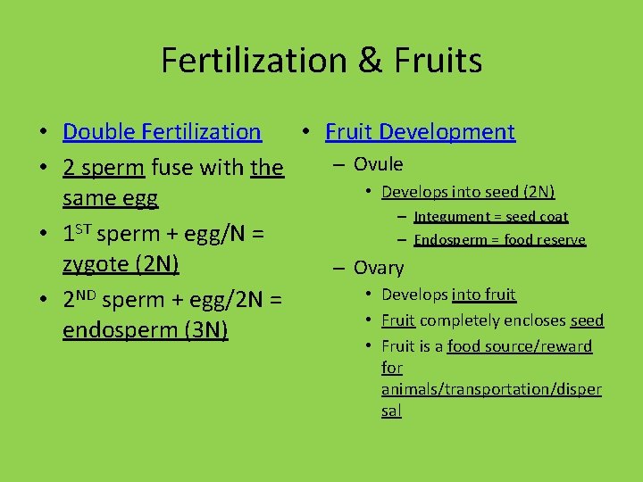 Fertilization & Fruits • Fruit Development • Double Fertilization – Ovule • 2 sperm