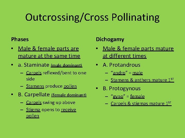 Outcrossing/Cross Pollinating Phases Dichogamy • Male & female parts are mature at the same
