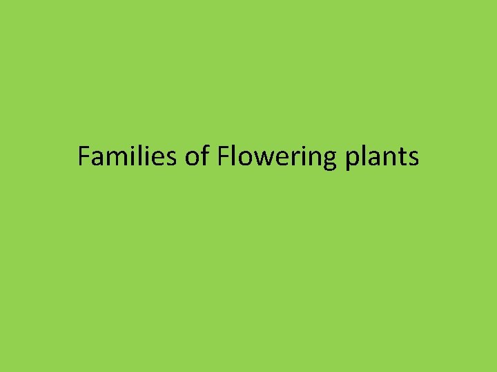 Families of Flowering plants 