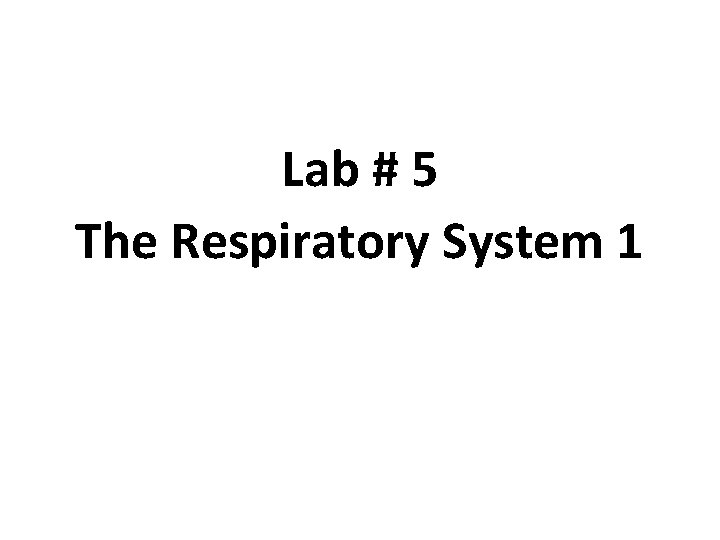Lab # 5 The Respiratory System 1 