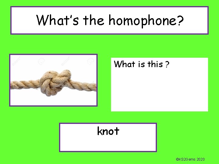 What’s the homophone? What is this ? knot ©KS 2 Gems 2020 