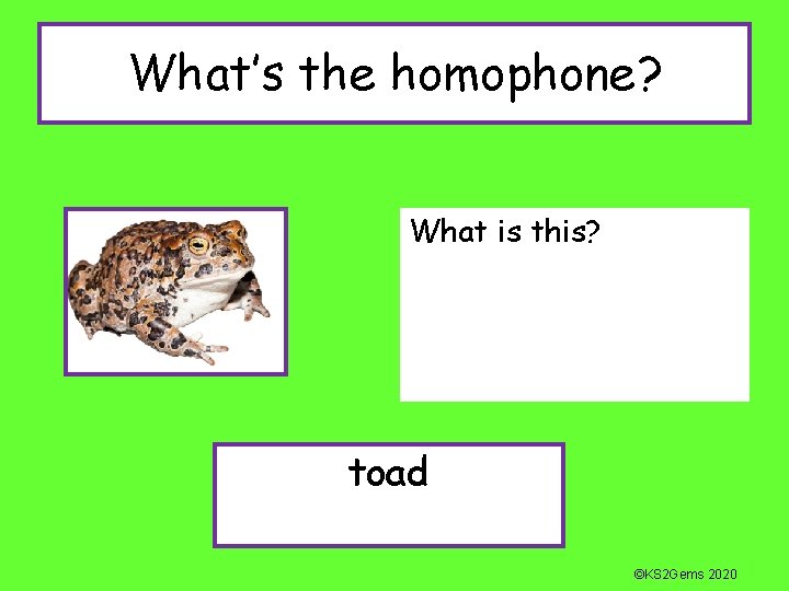 What’s the homophone? What is this? toad ©KS 2 Gems 2020 