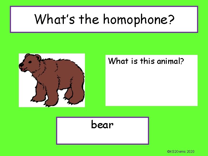 What’s the homophone? What is this animal? bear ©KS 2 Gems 2020 