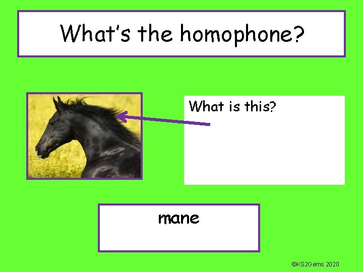 What’s the homophone? What is this? mane ©KS 2 Gems 2020 