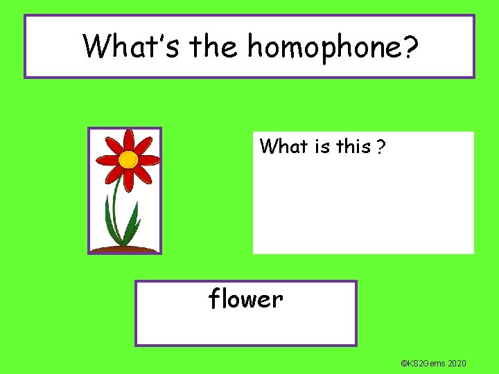 What’s the homophone? What is this ? flower ©KS 2 Gems 2020 