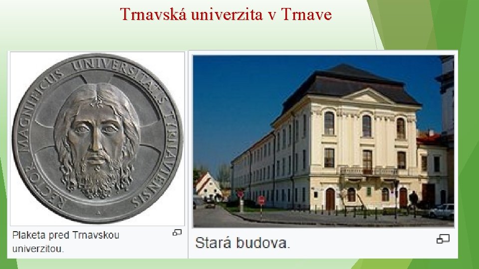 Trnavská univerzita v Trnave 