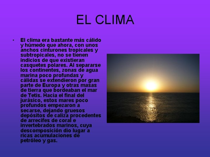 EL CLIMA • El clima era bastante más cálido y húmedo que ahora, con