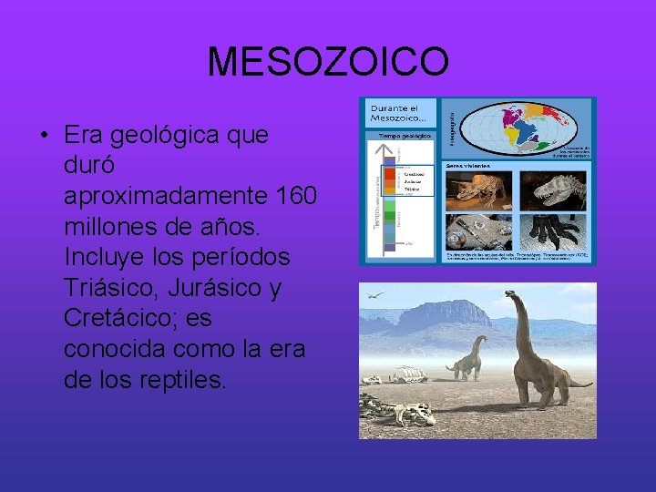 MESOZOICO • Era geológica que duró aproximadamente 160 millones de años. Incluye los períodos