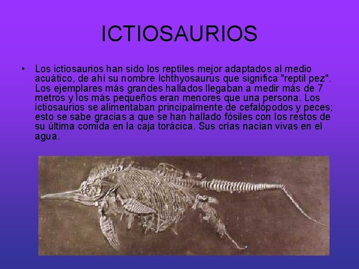 ICTIOSAURIOS • Los ictiosaurios han sido los reptiles mejor adaptados al medio acuático, de