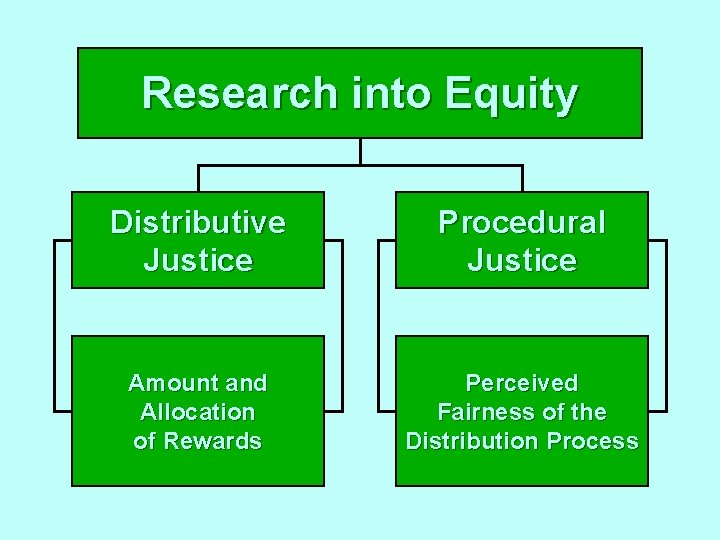 Research into Equity Distributive Justice Procedural Justice Amount and Allocation of Rewards Perceived Fairness