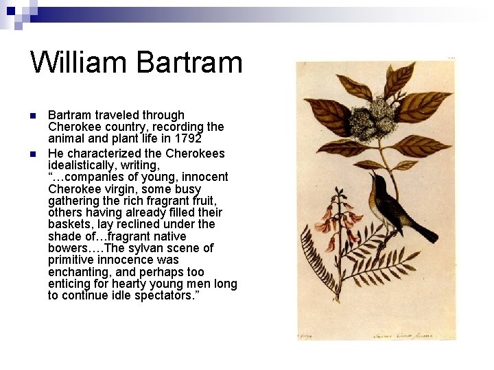 William Bartram n n Bartram traveled through Cherokee country, recording the animal and plant