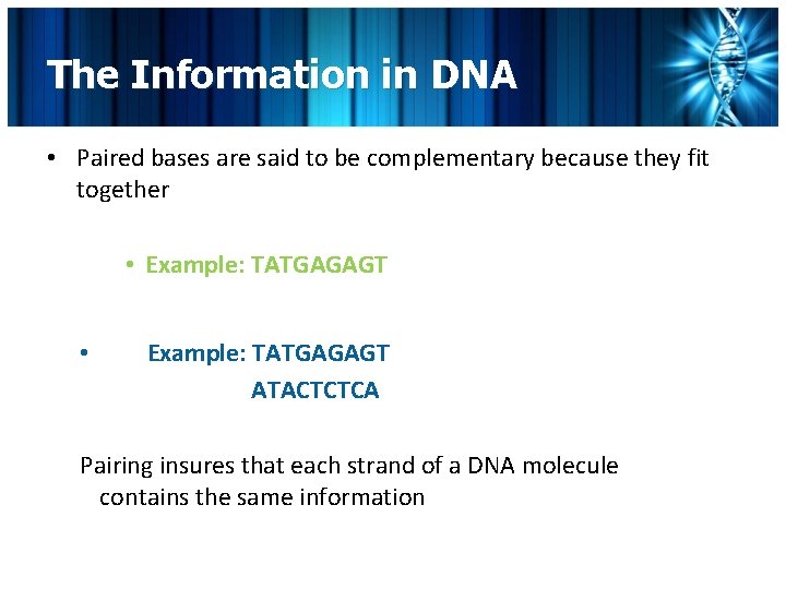The Information in DNA • Paired bases are said to be complementary because they