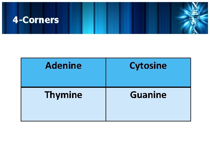 4 -Corners Adenine Cytosine Thymine Guanine 
