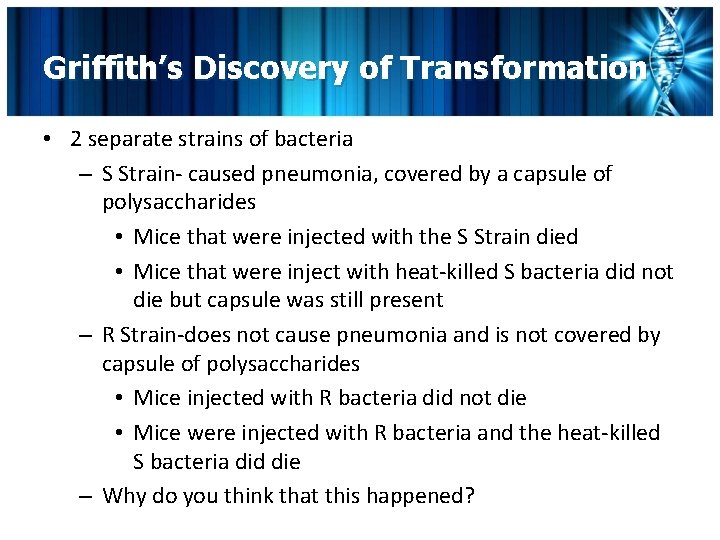 Griffith’s Discovery of Transformation • 2 separate strains of bacteria – S Strain- caused
